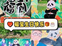 -卧龙中华大熊猫苑神树坪基地