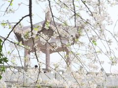 -苏州上方山国家森林公园