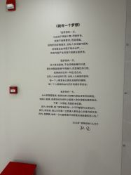 -智美品质医美