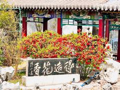 -碑林公园
