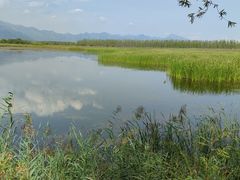 -野鸭湖国家湿地公园