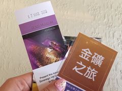 -疏芬山金矿