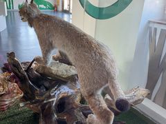 -洮儿河国家湿地公园