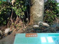 -大连自然博物馆