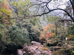 -白云源风景区