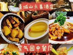 -青城山六善酒店·紫氣園中餐厅