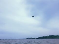 -红岛休闲渔村
