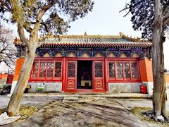 -药王庙(安国市)