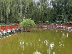 -莲花池公园