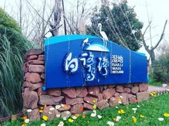 -白鹭湾湿地公园