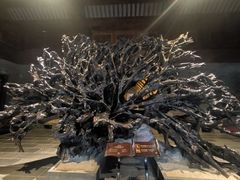 -乐山乌木文化博览苑