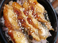 鳗鱼饭-胜博殿日式炸猪排(西红门店)