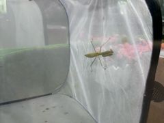 -上海昆虫博物馆