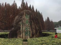 -紫金山天文台
