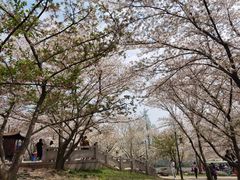 -苏州上方山国家森林公园