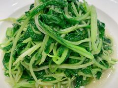 -紫光园·烤鸭·北京菜(劲松店)