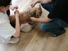 -派联宠物医院·24h·CT·异宠