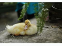 -行人小筑·茶馆(岑村火炉山分店)