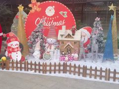 -侨美·唐荔园·40年地道粤菜