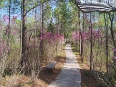 -江苏三台山国家森林公园