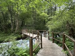 -叠溪松坪沟景区