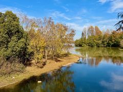 -上海海湾国家森林公园