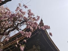 -北京国子监胡同