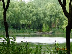 -昆山城市生态森林公园