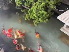 -长赢养生(平度店)