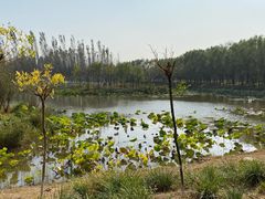 -东郊湿地公园