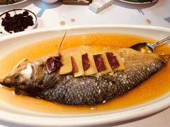 -老洋房花园饭店(绍兴路店)