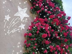 -老门东历史文化街区