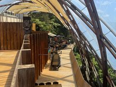 -怀托摩萤火虫洞