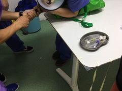 抽血-伟伟宠物医院·CT影像中心·瑞派犬猫综合性门诊(汉口总院)