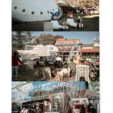 其他拆剩的环境一般 住双廊亲水房一定要有管家服务的