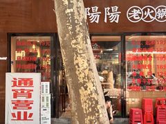 -阳阳老火锅(小南门店)