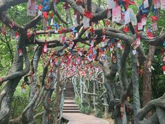 -天目湖山水园