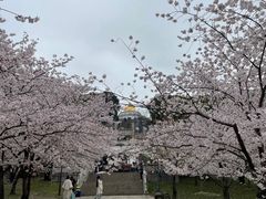 -苏州上方山国家森林公园