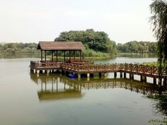 -上海市保健医疗中心(华东疗养院)
