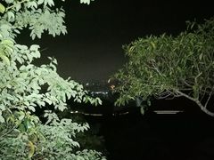 -梧桐山风景名胜区