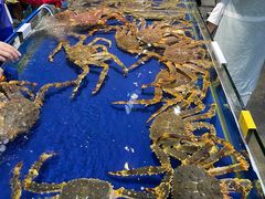 -三亚火车头万人海鲜广场