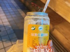 -德禄酸奶(莫家街店)