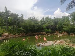 -横琴湾水世界