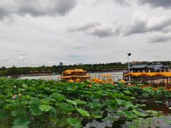 -长春市南湖公园