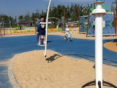 -春花秋色城市公园