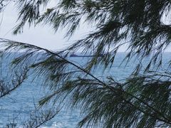 -广东惠东海龟国家级自然保护区