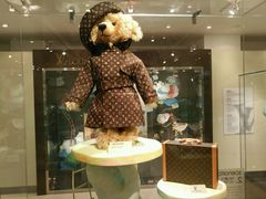 -济州岛泰迪熊博物馆