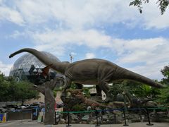 -陕西自然博物馆