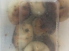-老字号眼镜子煎包汤包店
