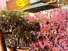 -老陈婆手工面庄